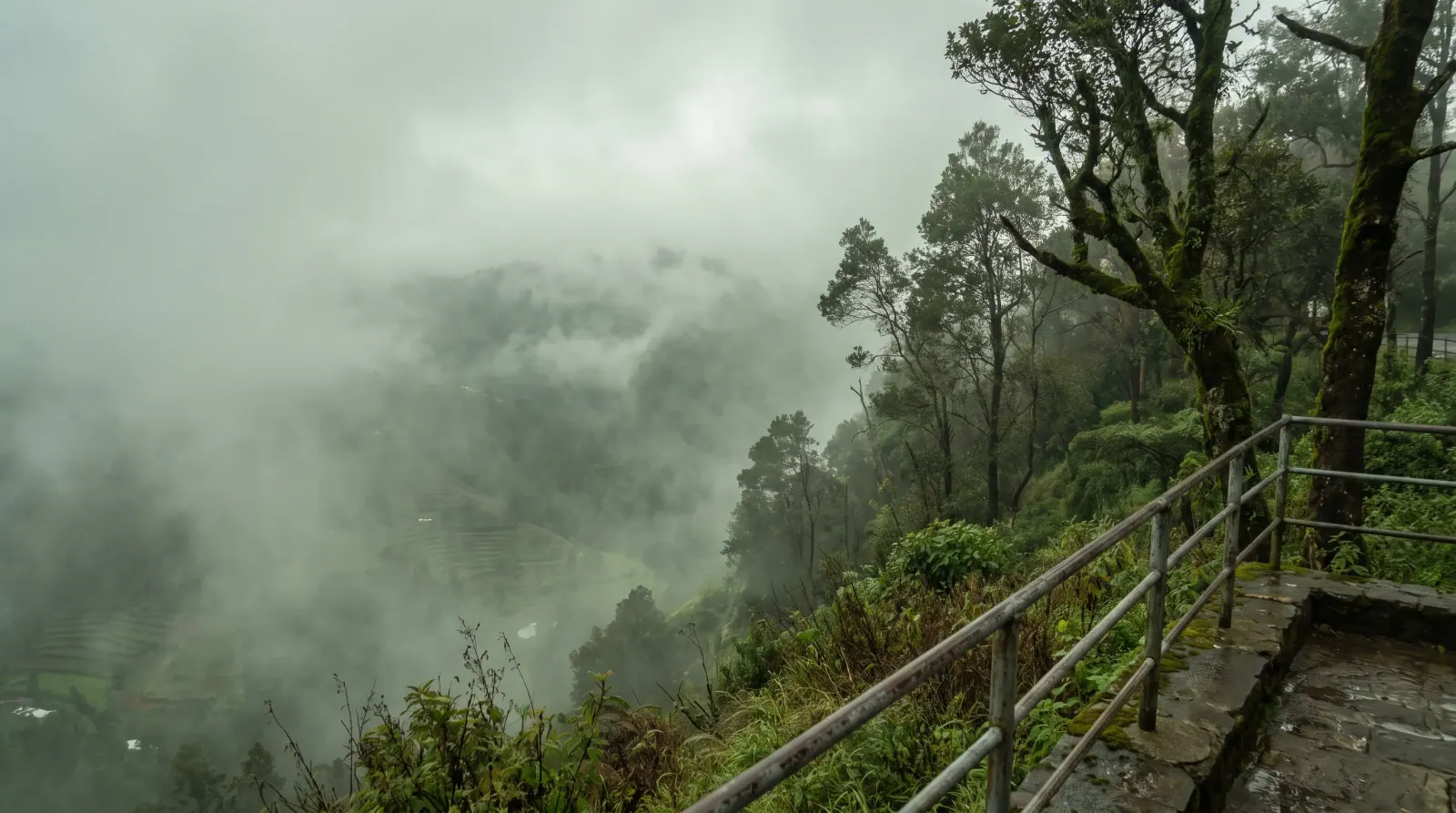 A Kodaikanal hill viewpoint wrapped in thick fog, the valley hidden by mist